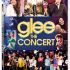Glee: The Concert | DVD Review